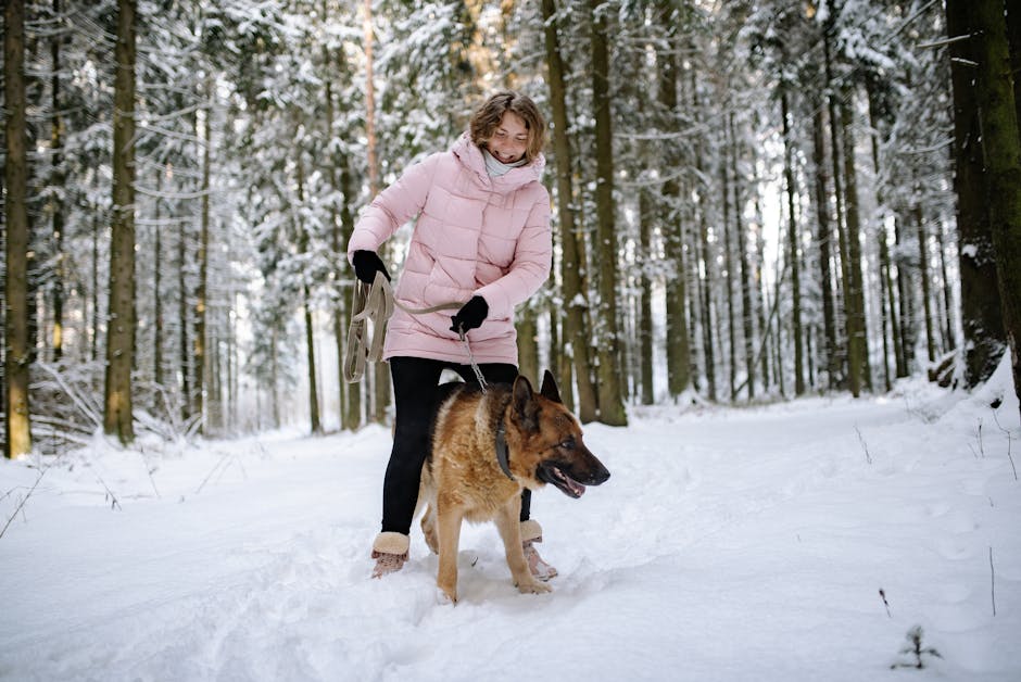 Dog walker with happy dogs